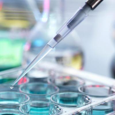 Пояснение бульона Ферментайон аминокислоты