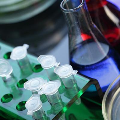 Органические кислоты брожения бульон Пояснение